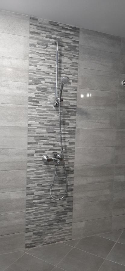 Vida Family Hotel 维丁 外观 照片